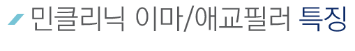 ¹ÎŬ¸®´Ð À̸¶/¾Ö±³ÇÊ·¯ Ư¡