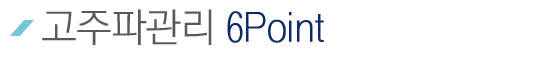 °íÁ֯İü¸® 6Point
